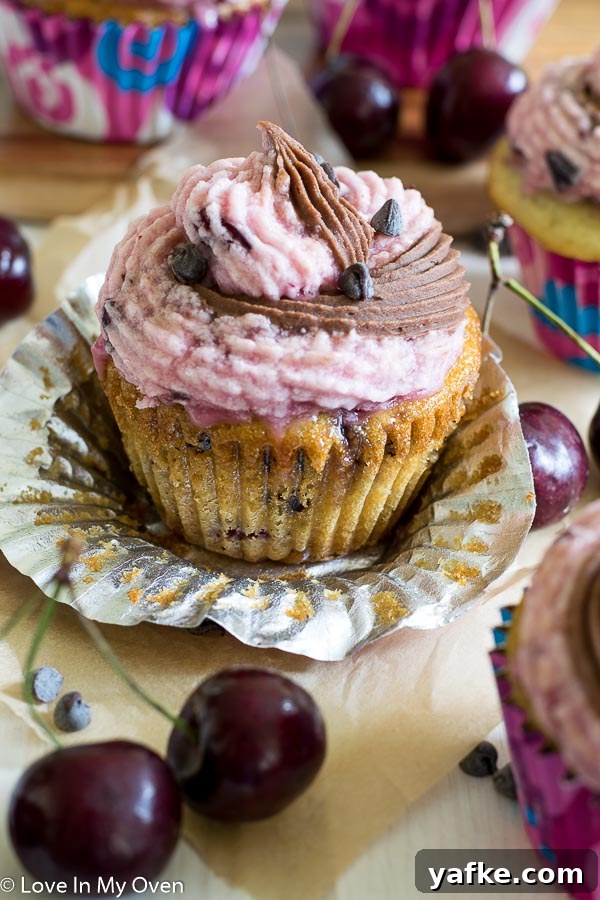 Chocolate Cherry Chip Cupcakes Recipe 3 Chocolate Cherry Chip Cupcakes