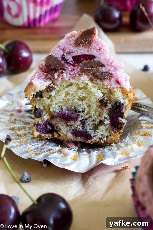 Chocolate Cherry Chip Cupcakes Recipe 5 Chocolate Cherry Chip Cupcakes