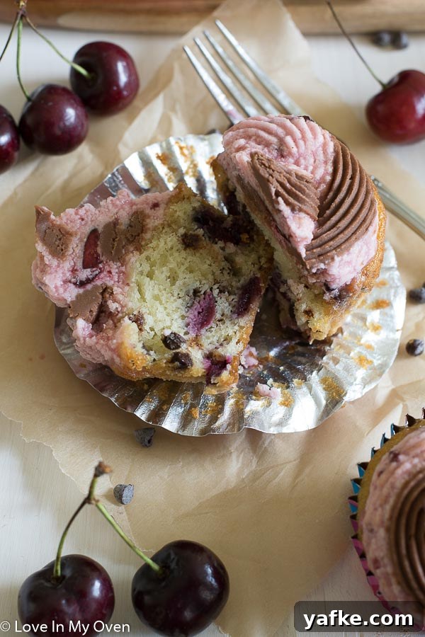 Chocolate Cherry Chip Cupcakes Recipe 6 img 9336 5