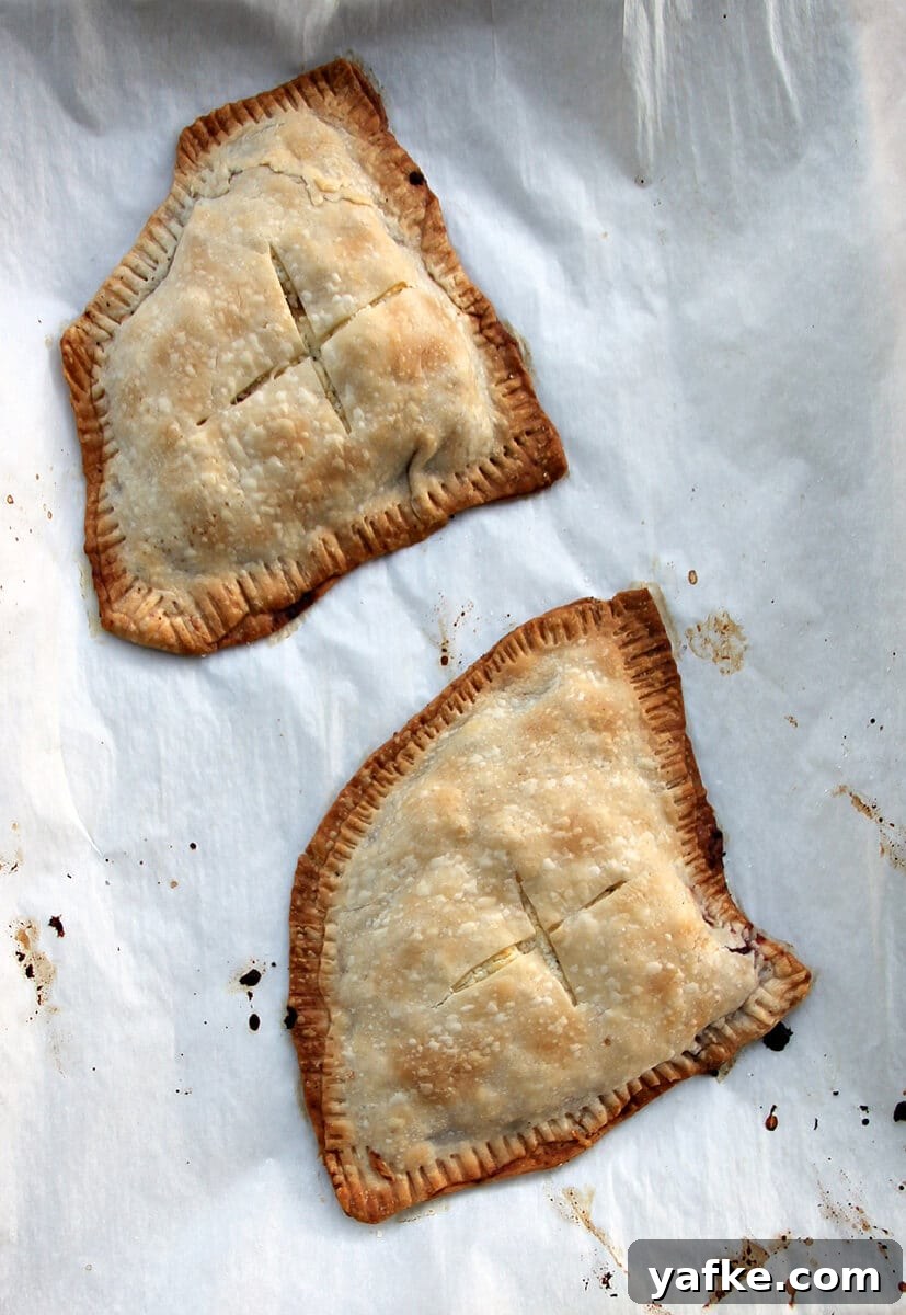 Turn Leftover Turkey into Cranberry and Boursin Hand Pies 5 Overhead shot of two baked leftover turkey hand pies on parchment paper.