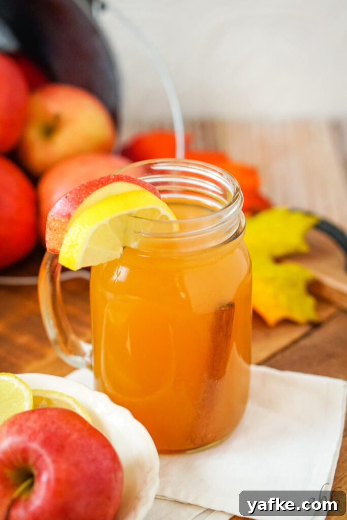 Sparkling Lemonade Cider Recipe 2 A glass of Lemonade Cider garnished with an apple slice, a lemon slice, and a cinnamon stick.