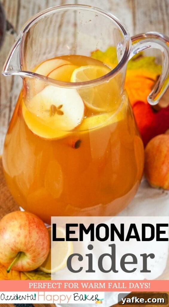 Sparkling Lemonade Cider Recipe 5 This citrusy blend of lemonade and apple cider make an unexpectedly refreshing and easy to make drink that can be served hot or cold. Perfect for anytime of year, but especially delicious on autumn days.
