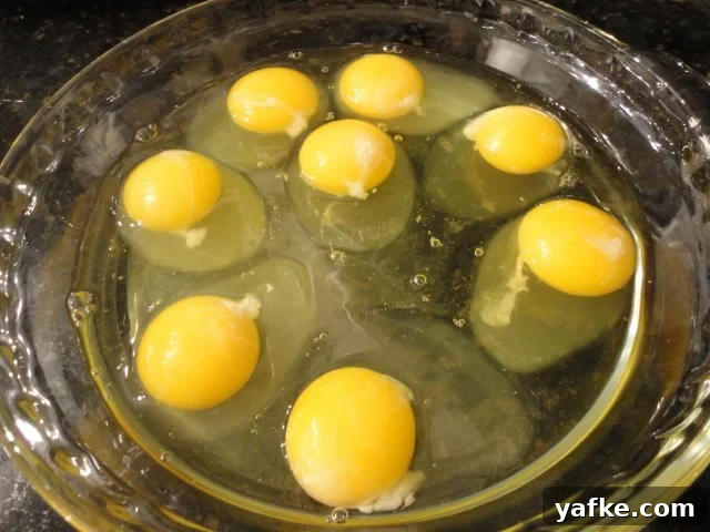 Eight eggs cracked in a shallow dish