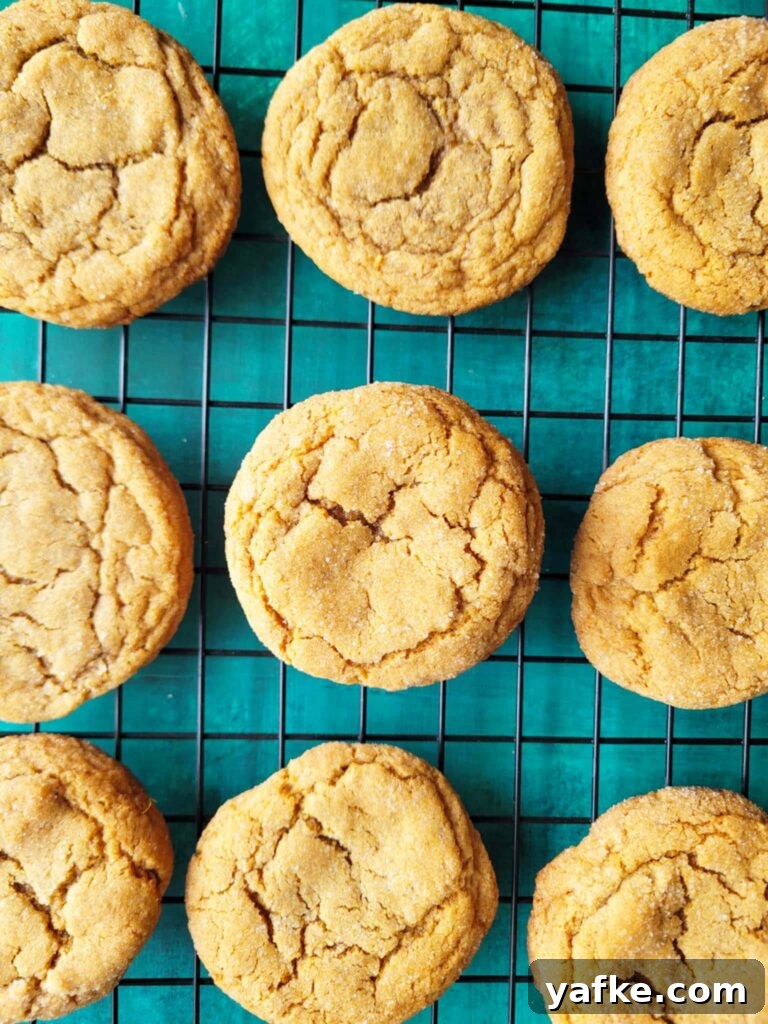 Homemade Chewy Spicy Ginger Cookies Recipe 2 extra spicy ginger cookies on a baking rack