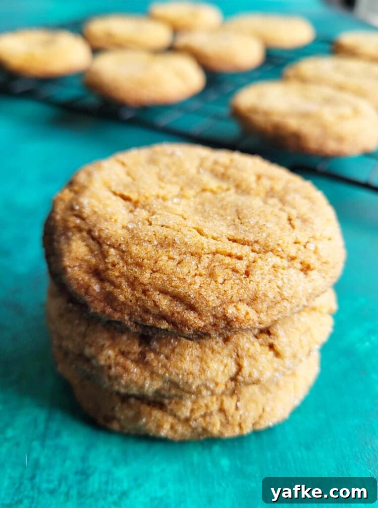 Homemade Chewy Spicy Ginger Cookies Recipe 3 stack of fresh ginger cookies