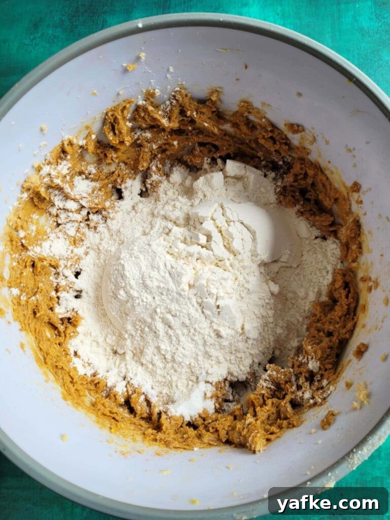 Homemade Chewy Spicy Ginger Cookies Recipe 5 adding dry ingredients to wet