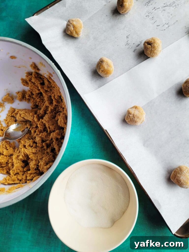 Homemade Chewy Spicy Ginger Cookies Recipe 6 img 84998 6