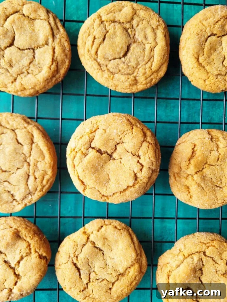 Homemade Chewy Spicy Ginger Cookies Recipe 7 These chewy extra spicy ginger cookies are made with fresh ginger, ground ginger and a dash of cayenne pepper. Chewy, bold, and spicier than any classic cookie you’ve tried, these fresh ginger cookies are perfect for holiday trays or everyday treats.